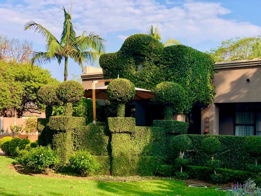 Forty 4 On Hoog Polokwane Exterior photo
